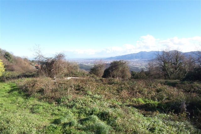 COUNTRY COTTAGE for SALE in Lucca countryside